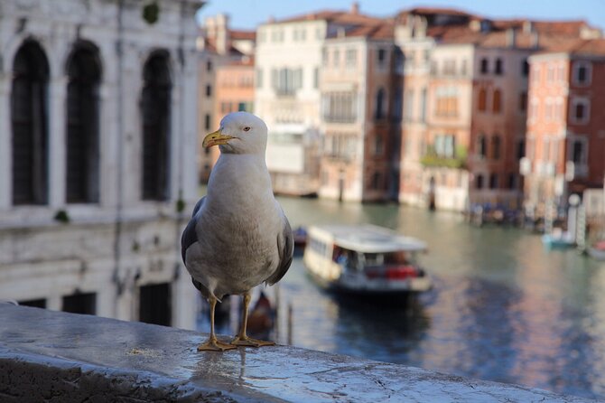 Photography workshop in the magical Venice (3h) - Off Auto to Real Control: What Andrea’s Teaching Signals