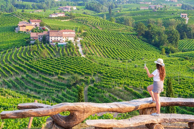 Premium Prosecco Hills Winery Tour with Prosecco Tastings & Food - Key Highlights Worth Booking For