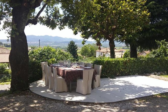 Premium Prosecco Hills Winery Tour with Prosecco Tastings & Food - What You Taste: Four Prosecco DOCG Glasses