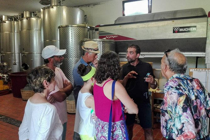 Premium Prosecco Hills Winery Tour with Prosecco Tastings & Food - Paolo, Local Tips, and the Little Extras That Count