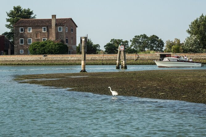 Private Cruise: Murano, Burano and Torcello Full Day - Who this private lagoon cruise fits best (and who should skip it)