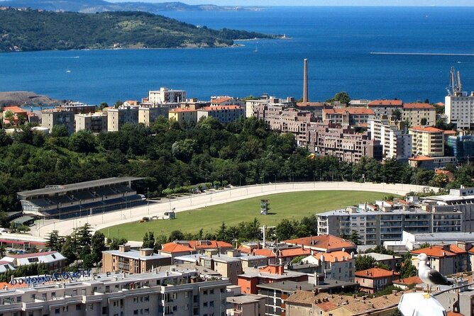 Private Direct Transfer From Venice to Trieste, up to 8 pax - From Venice to Trieste without the bag wrangling