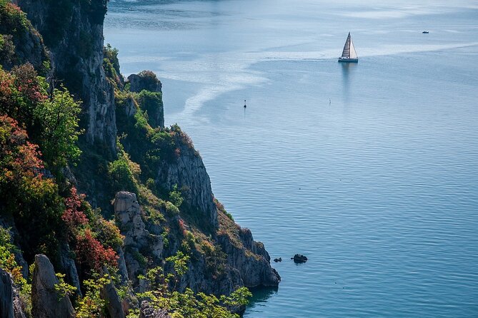 Private Direct Transfer From Venice to Trieste, up to 8 pax - Practical pricing and value: what $329.26 per person really means