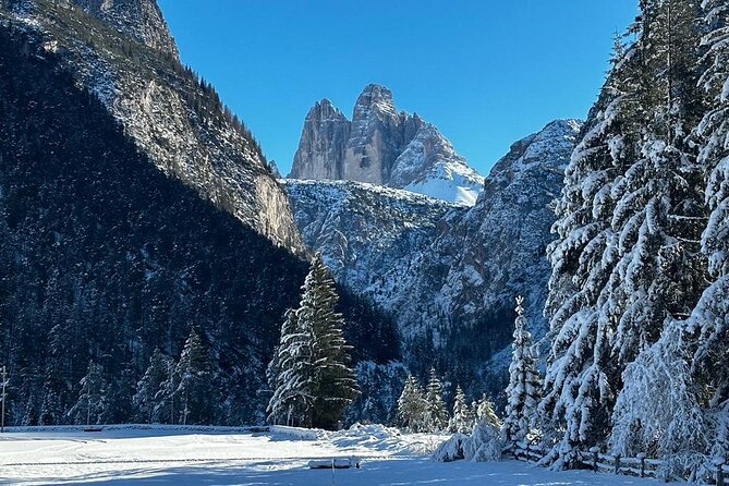 Private Dolomites Winter Day Tour from Venice - How an 8-Person Van Changes the Pace