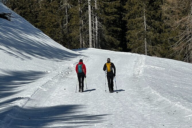 Private Dolomites Winter Day Tour from Venice - Cortina d’Ampezzo: A Fashionable Base Before the Big Peaks
