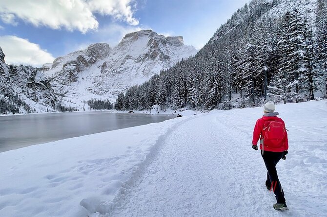 Private Guided Tour in the Dolomites from Venice - Lago di Auronzo in Cadore: glacier origins and a shoreline walk