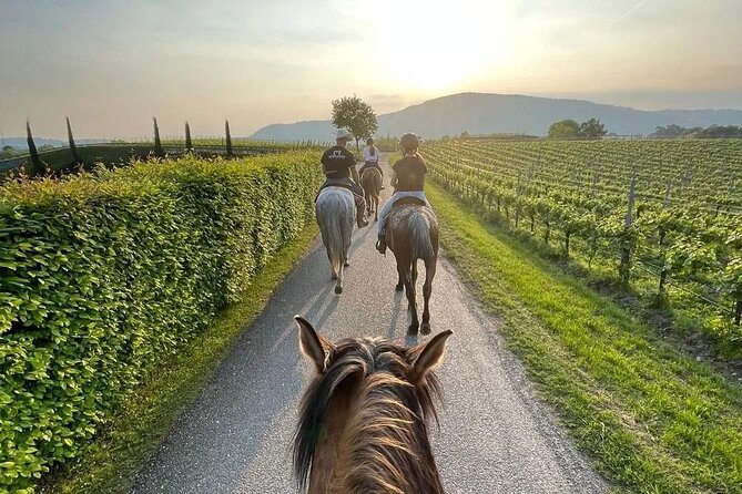 Private Horseback Riding Tour of the Vineyards in Verona with Wine Tasting - Masi Agricola: Amarone Roots and the Ancient Drying Technique