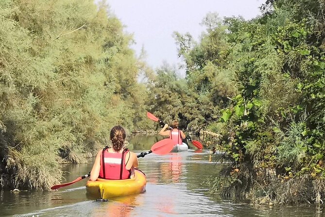 Private Kayak Tour in the Venetian Lagoon - Key points to know before you go