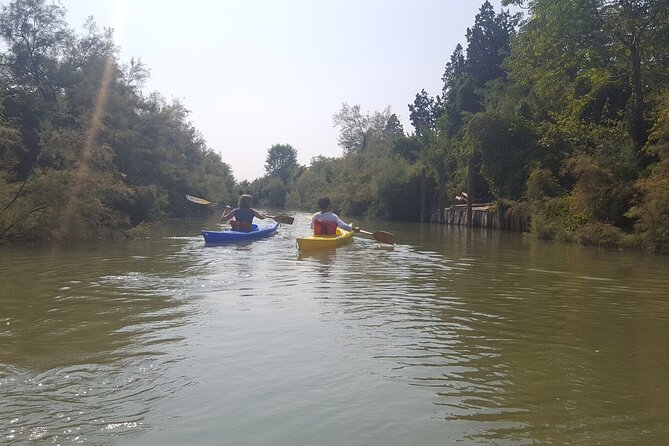 Private Kayak Tour in the Venetian Lagoon - What the paddling really feels like