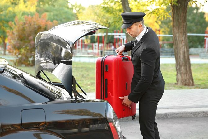 Private One-way Airport Transfer Venice Airport to Venice - The ride setup, comfort, and what the included perks actually mean