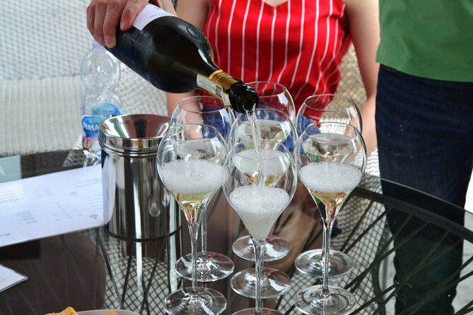 Private Tour: Prosecco Wine Tasting Day Trip with Lunch from Venice - Heading Out From Venice: The Real Value Is the Door-to-Door Plan