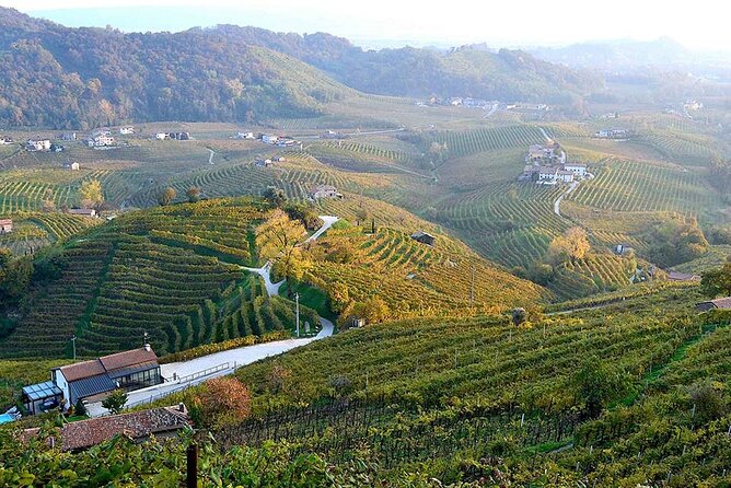 Private Tour: Prosecco Wine Tasting Day Trip with Lunch from Venice - Price in Context: $480.59 Per Person, What You Are Paying For