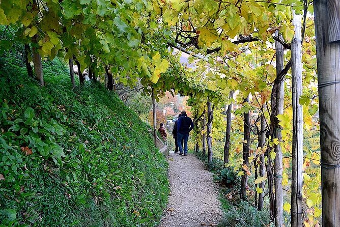 Private Tour: Prosecco Wine Tasting Day Trip with Lunch from Venice - Stop One at Villa Maria: Historic Estate, Structured Tasting