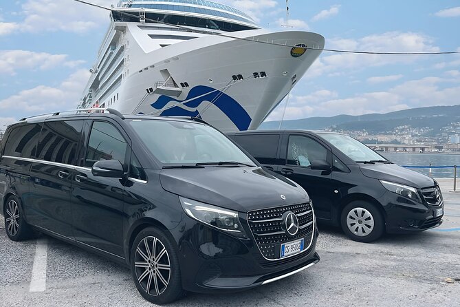 Private Transfer from Venice Airport to All Cruise Terminals Port - Key Highlights