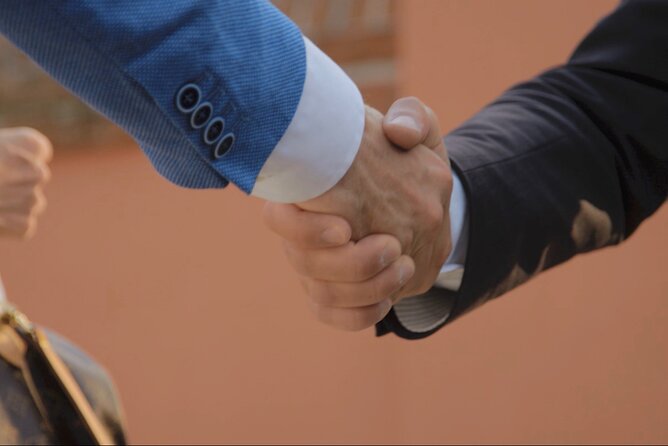 Private Transfer from Venice Airport to Venice - The Chauffeured Van Ride: Comfort, Water, and Luggage Handling