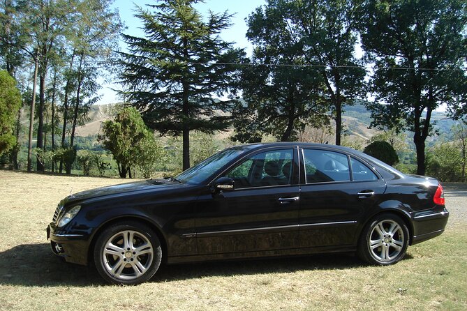 Private transfer from Venice, Piazzale Roma to Marco Polo Airport - The Car Ride to Marco Polo: Timing, Comfort, and Luggage Help