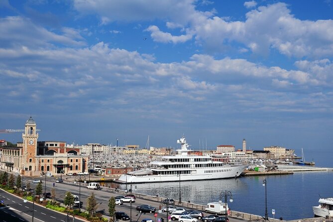 Private Transfer: Venice or Airport VCE to Port of Cruise Pier Trieste - Who This Transfer Fits Best