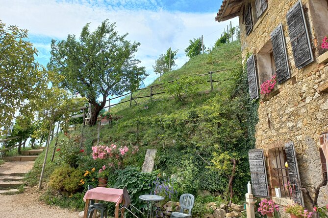 Prosecco Hills Day Trip from Venice & Treviso: 2 Wineries - Key highlights I’d circle before booking