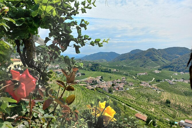 Prosecco Hills Day Trip from Venice & Treviso: 2 Wineries - UNESCO Prosecco Hills panoramic drives: the views you actually remember