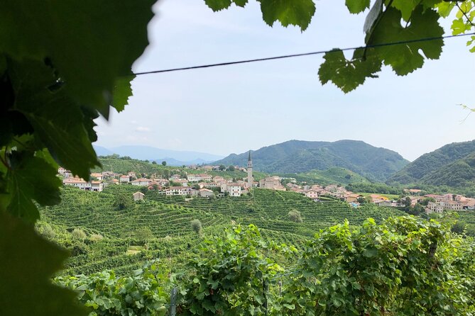 Prosecco Hills Wine and Cheese Gourmet Discovery - Eight tastings that actually make sense: how to taste like a pro
