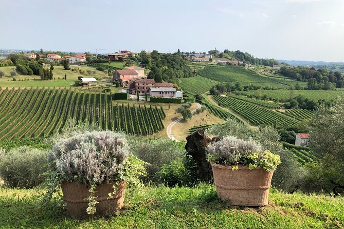 Prosecco Hills Wine and Cheese Gourmet Discovery - Price and value: what you are paying for at $165.61