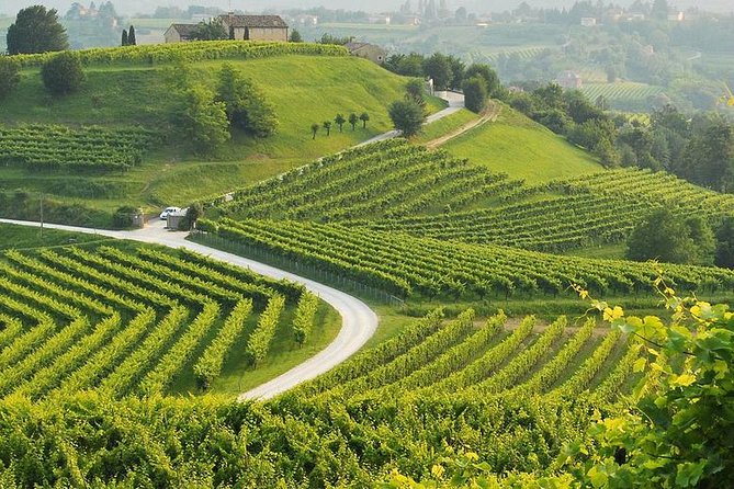 Prosecco Tour and Tasting from Venice - The Tasting Portion: Learning to Taste Prosecco, Not Just Drink It