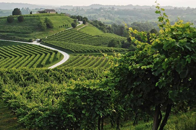Prosecco Tour and Tasting from Venice - Veneto Lunch: A Real Break With Local Food