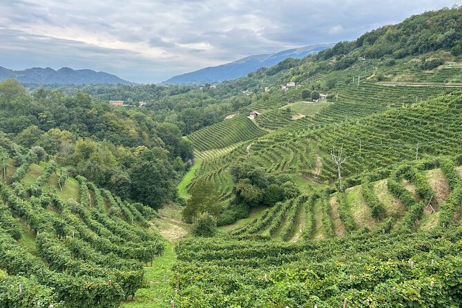 Prosecco wine and food feast in family osteria - Why this Prosecco Hills trip beats a Venice-only day
