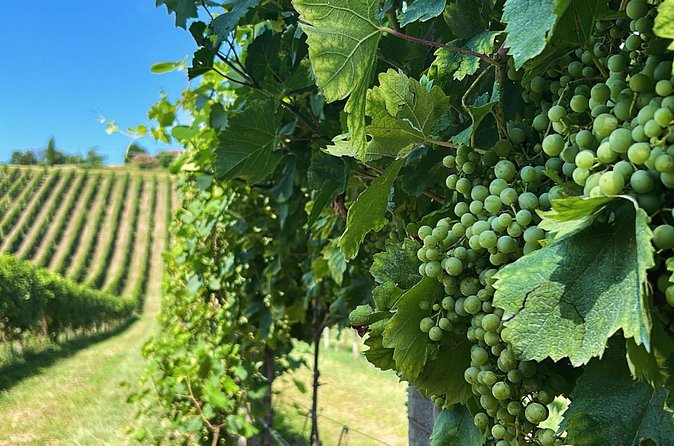 Prosecco wine and food feast in family osteria - Pieve di Soligo Osteria lunch: where the day turns into food