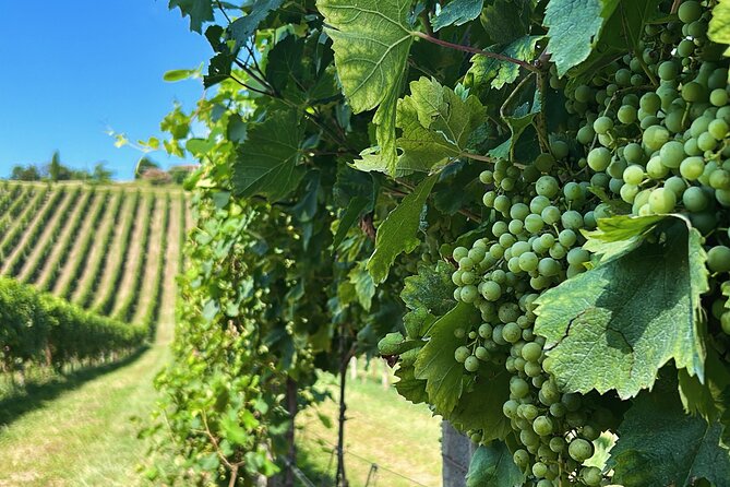Prosecco wine and food feast in family osteria - What’s included, and why it matters for your budget