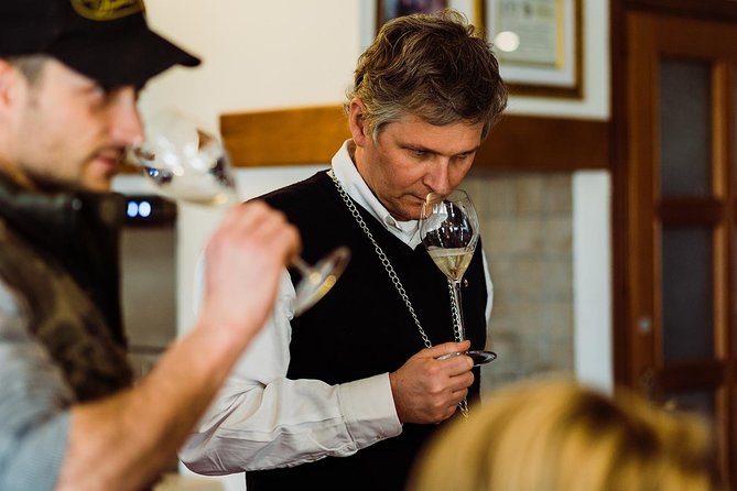 Prosecco Wine Tour (all-inclusive full day with lunch and expert wine guide) - From Venice to Prosecco Hills: How the Day Actually Works