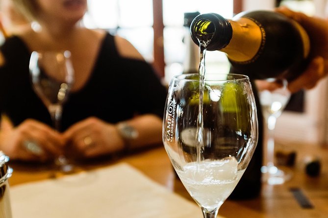 Prosecco Wine Tour (all-inclusive full day with lunch and expert wine guide) - Meeting Point in Venice: Quick practical tips before you go