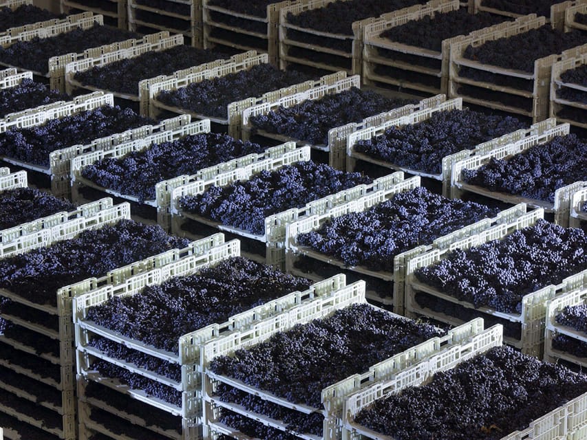 Prosecco Winery Tasting near Venice - A Prosecco tasting that feels like Venice without the crowds