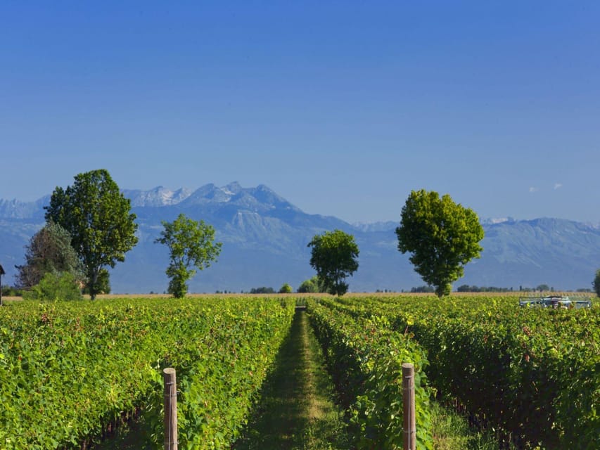 Prosecco Winery Tasting near Venice - Food pairings with cicchetti, and how to use them as a guide