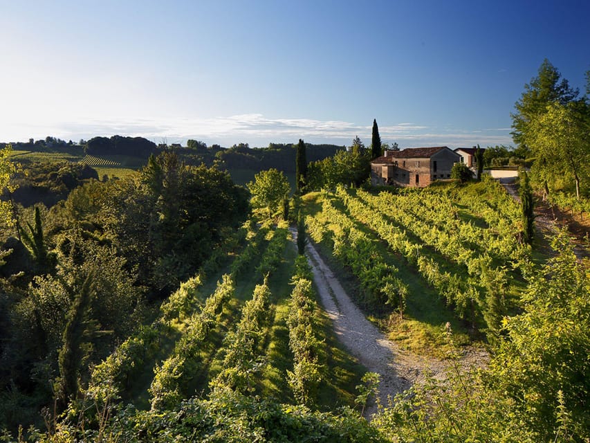 Prosecco Winery Tasting near Venice - Price and value: is $63 per person fair?