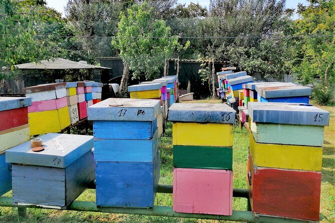 Sant’Erasmo Bike Tour in Venice’s Green Island - Honey tasting at the family apiary: saltmarsh honey with a real story