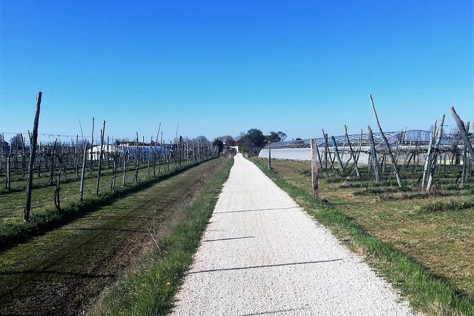 Sant’Erasmo Bike Tour in Venice’s Green Island - The lagoon-facing church stop, then you choose how to end the day