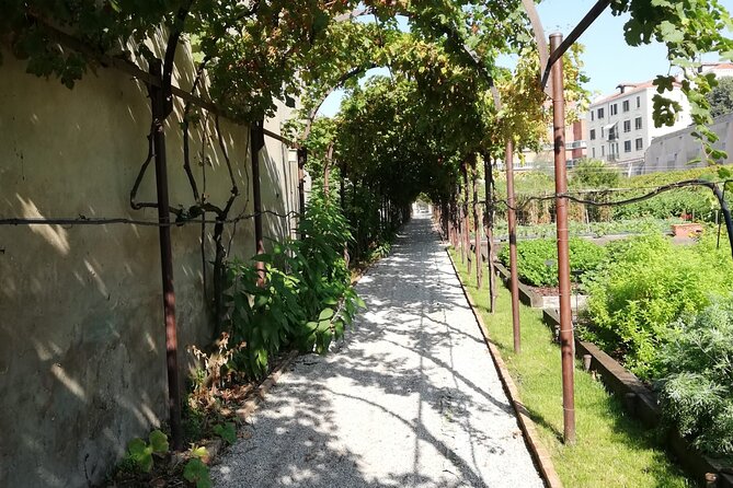 Secret Gardens of Venice Walking Tour - Spazio Thetis: modern sculptures facing the northern lagoon