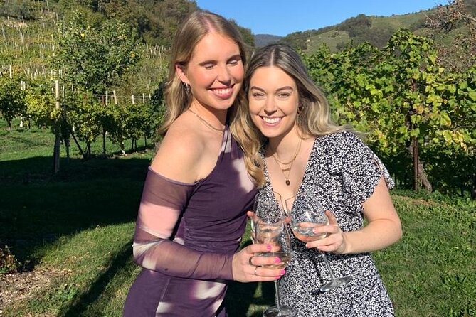 Small Group Prosecco Experience from Venice - Boutique Winery - Value: is $169 a good deal for this Venice-area Prosecco day?