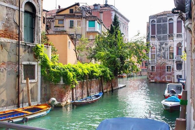 Tasty Street Food Tour of Venice City Center with Cicchetti & Local Specialties - How the Tour Works in Real Life: Small Group Energy, Choice, and Pace