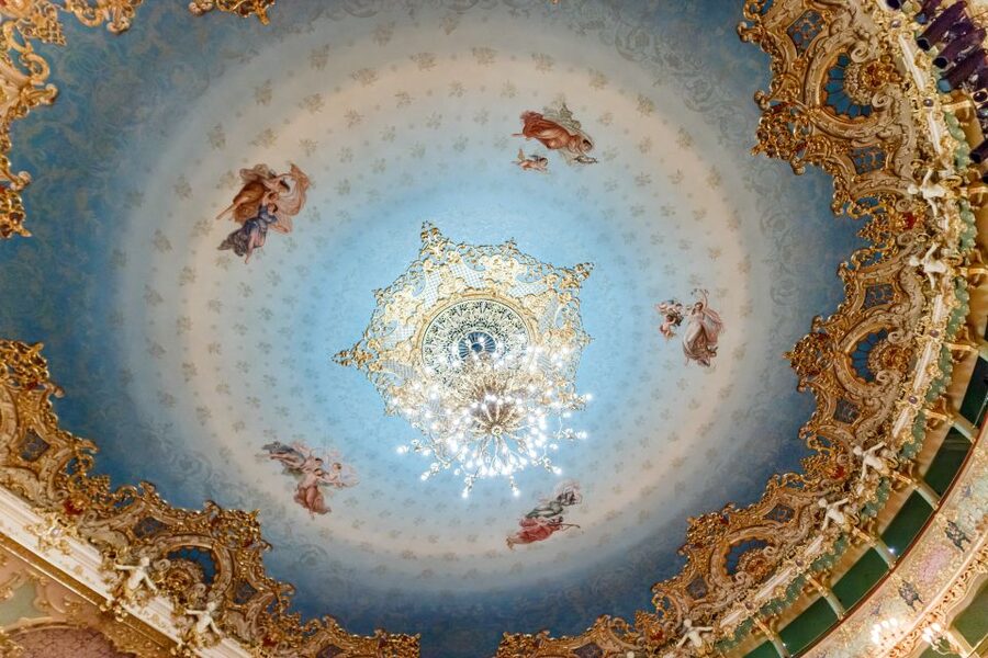 The Majestic Teatro La Fenice: Guided Tour in Venice - A Guided Opera Timeline, Rossini to Bellini