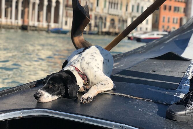 The Secrets of Venice - Private Tour - Misericordia and the Rialto markets: local Venice in real time