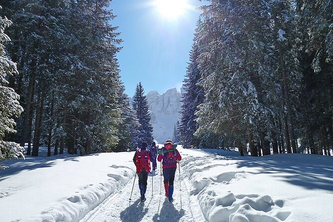 UNESCO Dolomites great expedition from Venice by Yellowboot - Guided highlights plus real free time