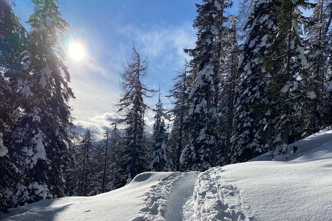 UNESCO Dolomites great expedition from Venice by Yellowboot - Dolomiti del Veneto: wander a mountain town at your pace