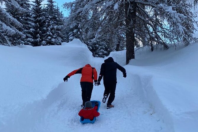UNESCO Dolomites great expedition from Venice by Yellowboot - Belluno Dolomites lunch in a chalet setting