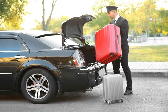 Venice Airport (VCE) to Trieste or Cruise Port Private Transfer - Arrival in Trieste or Your Cruise Port: The Door-to-Door Payoff