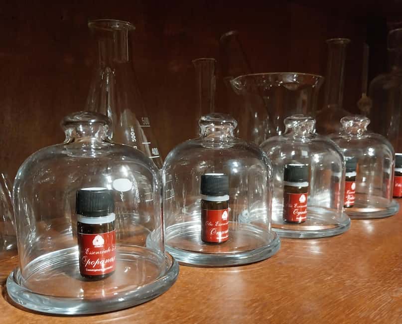 VENICE, FRANKINCENSE AND MYRRH! A JOURNEY ON AROMATICS TRADE - Key highlights you will feel right away