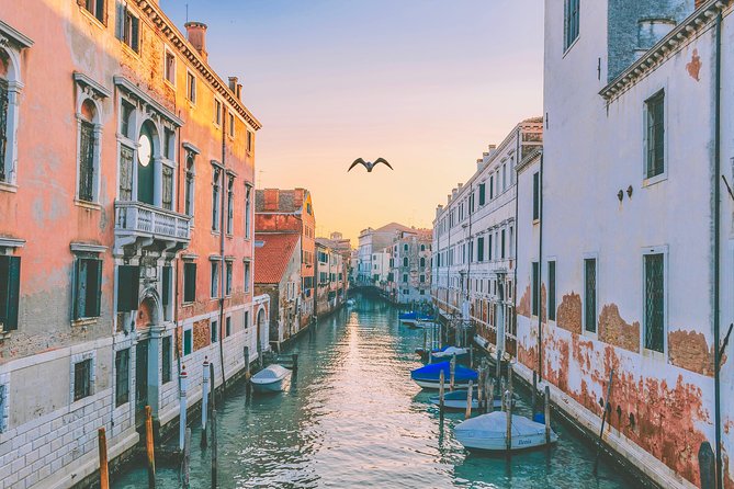 Venice Guided Walking tour - San Zanipolo and Colleoni: Power You Can See