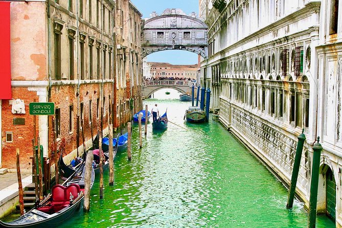 Venice in a Day: The Main Highlights of the City - St Mark’s Basilica: gold mosaics, relics, and real crowd control