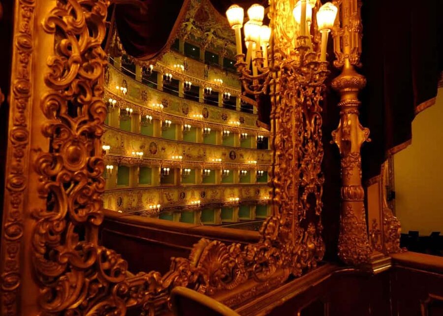 Venice: La Fenice Theater Tour - The tour format: shared group, one-hour pace, English guide